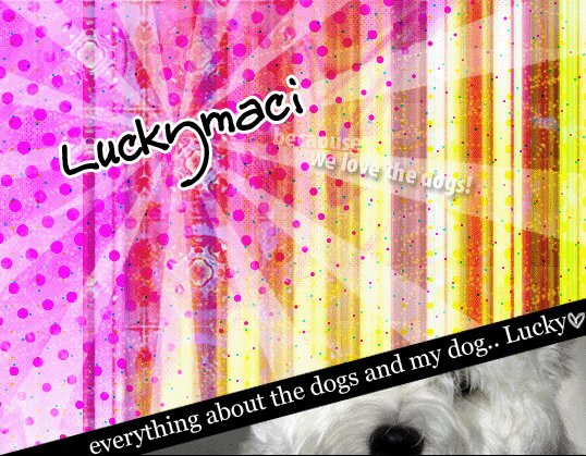 Luckymaci.~ //about the dogs...and my dog.
